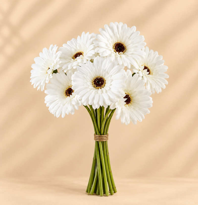 White daisies