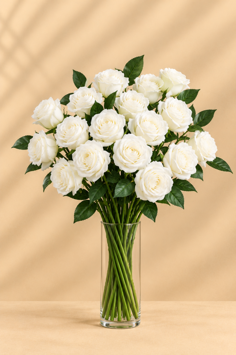 White Rose