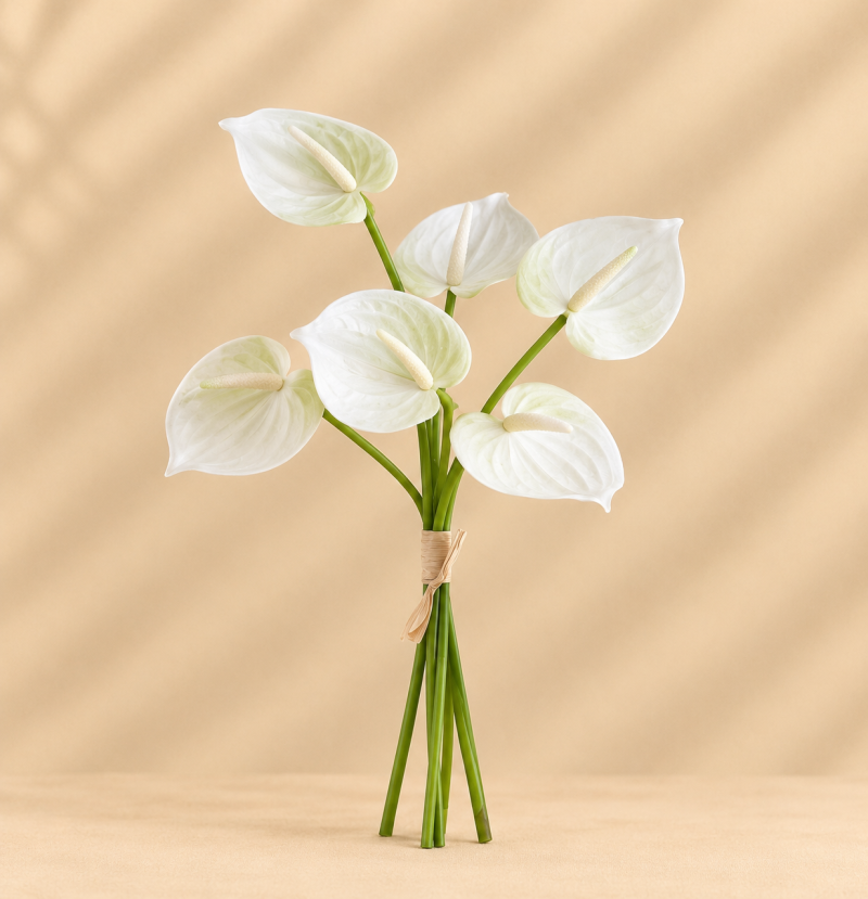 Anthurium