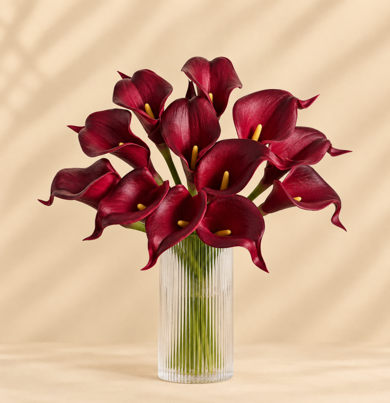 Burgundy carla lily