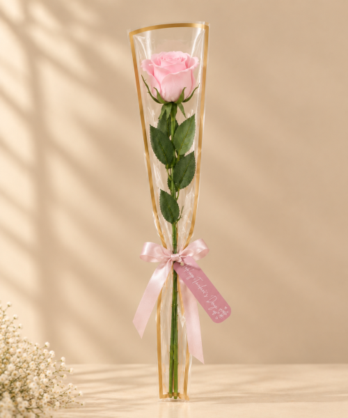 Single rose (pink)